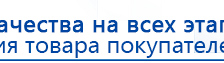 Пояс электрод купить в Зеленодольске, Электроды Меркурий купить в Зеленодольске, Скэнар официальный сайт - denasvertebra.ru